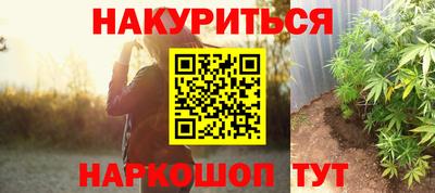 гашиш Кингисепп