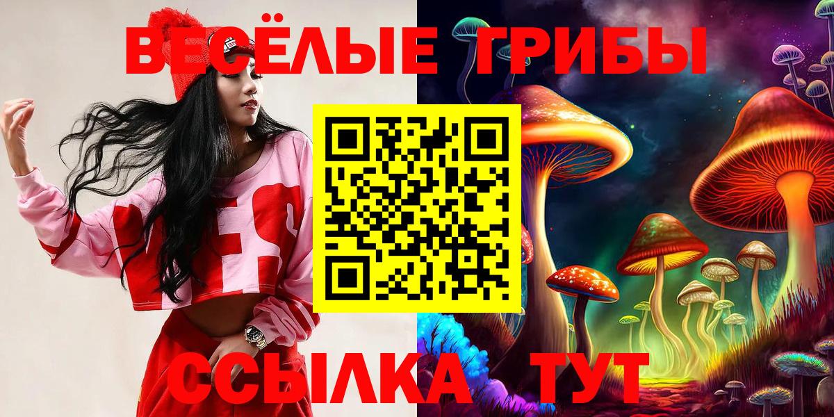 Галлюциногенные грибы ЛСД Кропоткин
