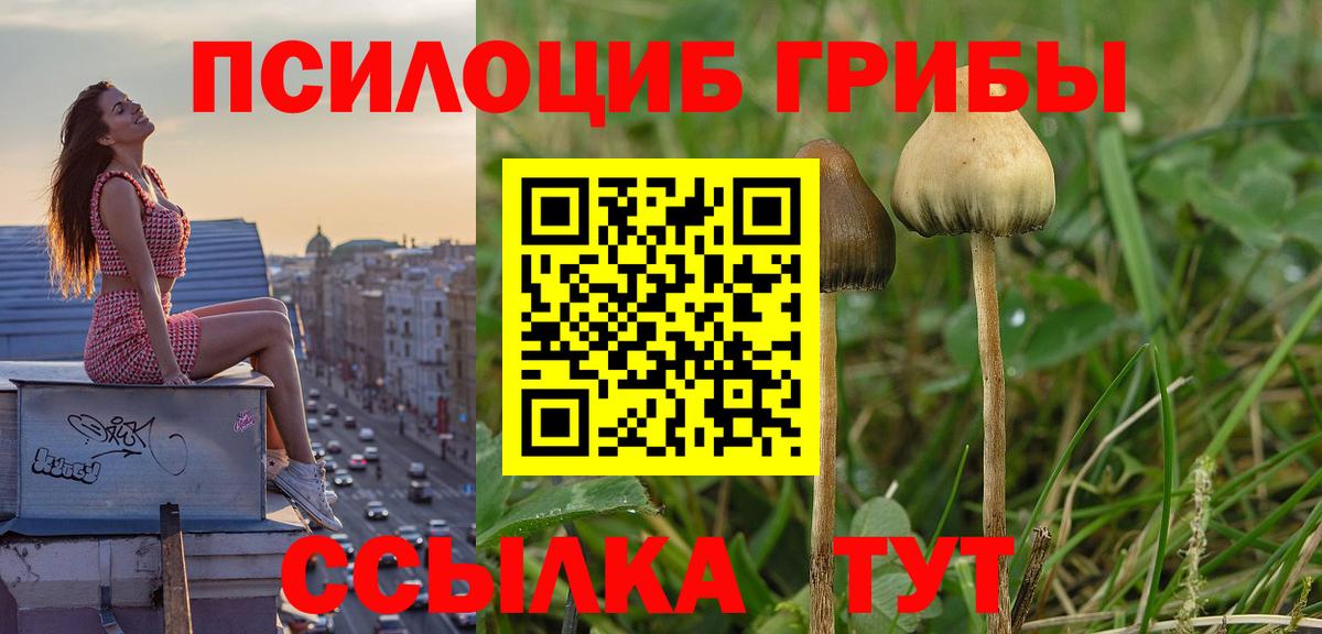 Кропоткин  Псилоцибиновые грибы GOLDEN TEACHER  Вход с VPN 